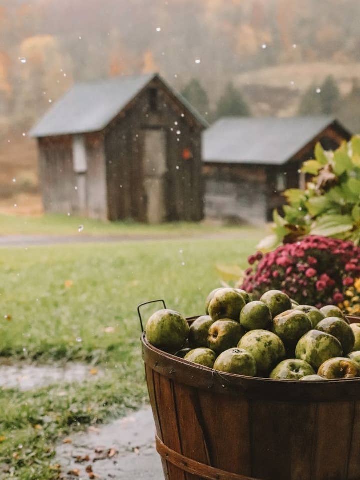 Apple Picking for wholesale by Hyalite & Co