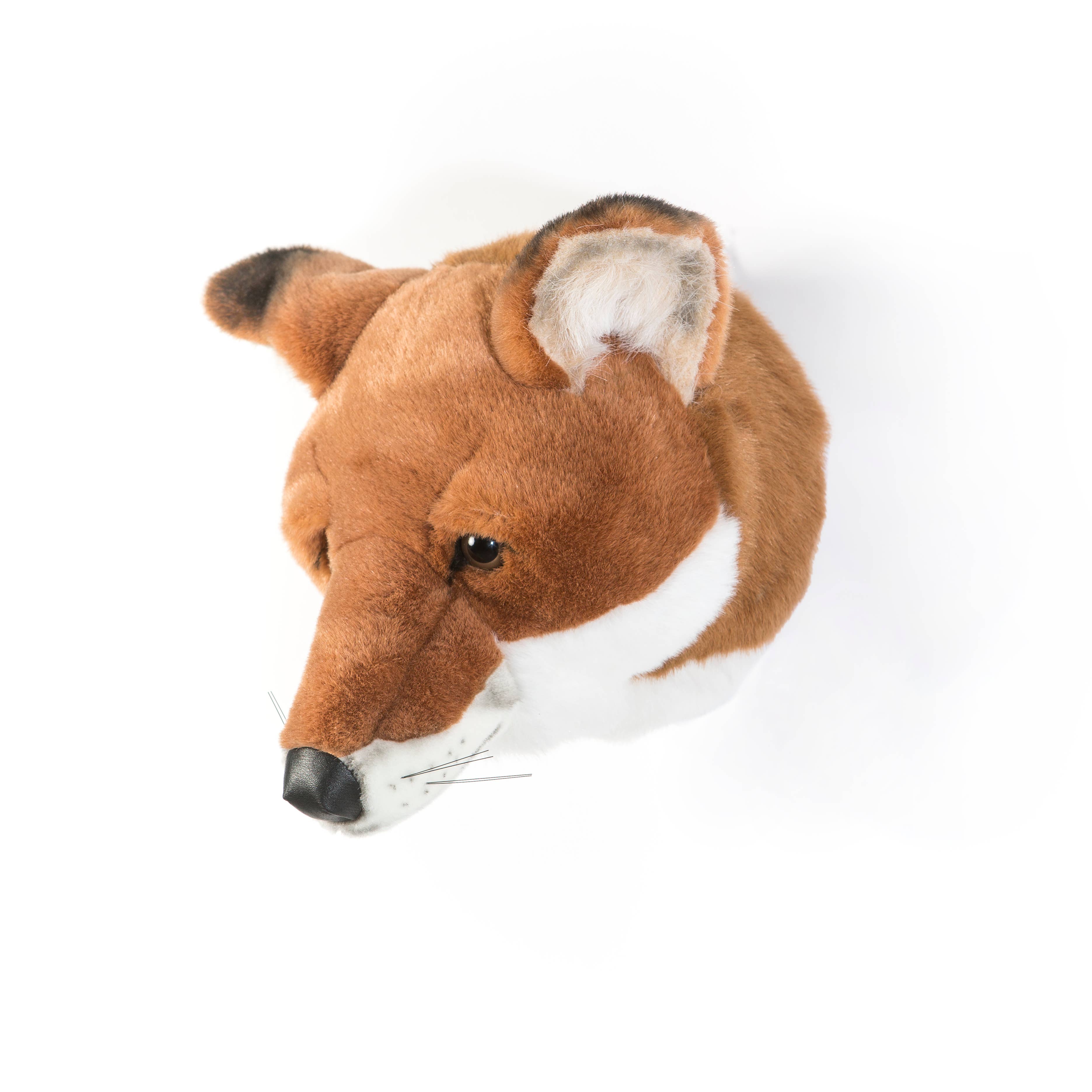 WILD & SOFT – Engroshandel 3D-vægkunst – Louis ræven: vægdekoration2