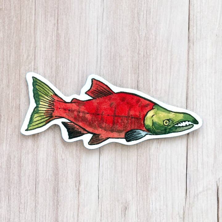 Anagram Press - Wholesale Sticker - Sockeye Salmon Sticker