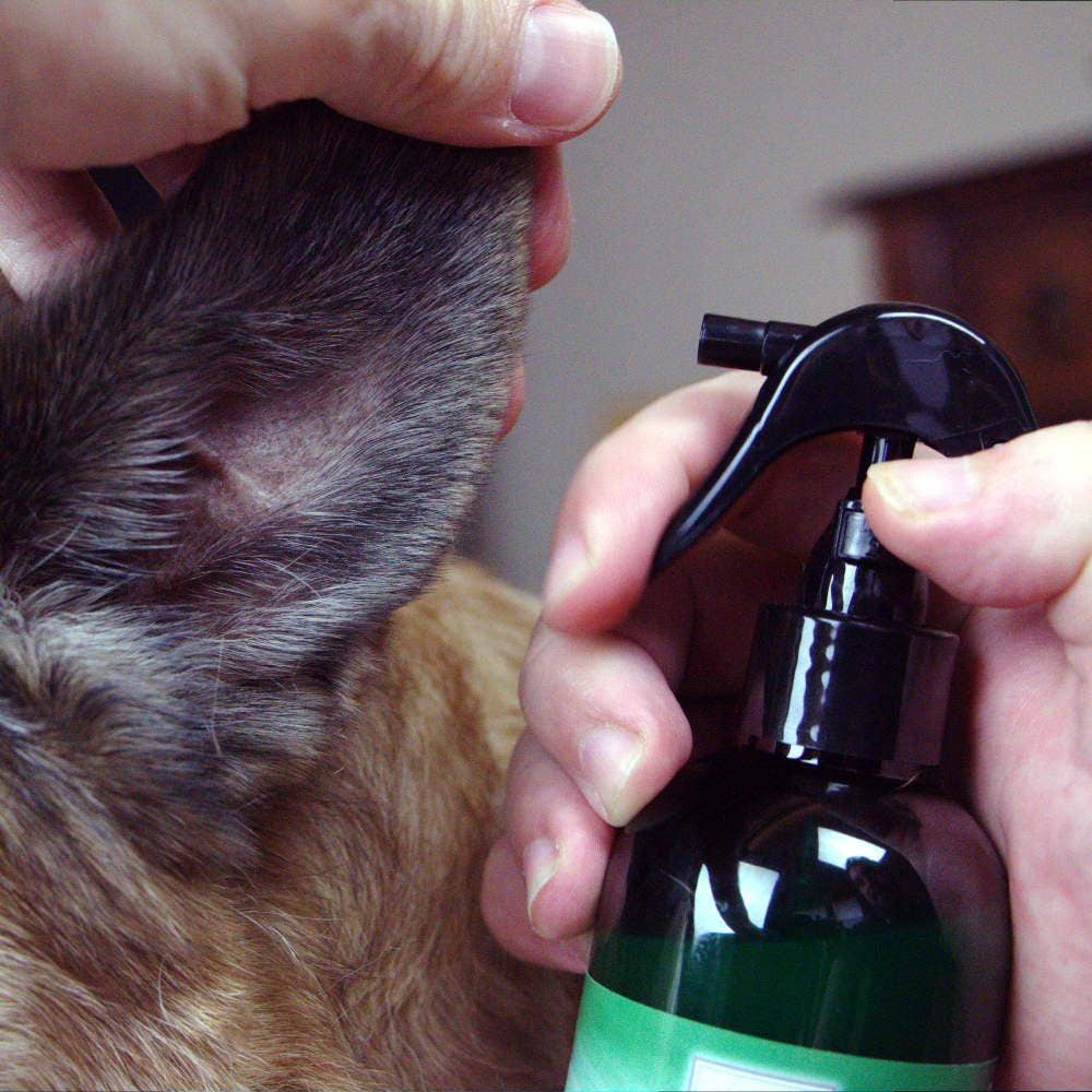 Silver Botanicals - Wholesale Pet Spray - Dog - Silver Shield Dog & Bedding Spray6