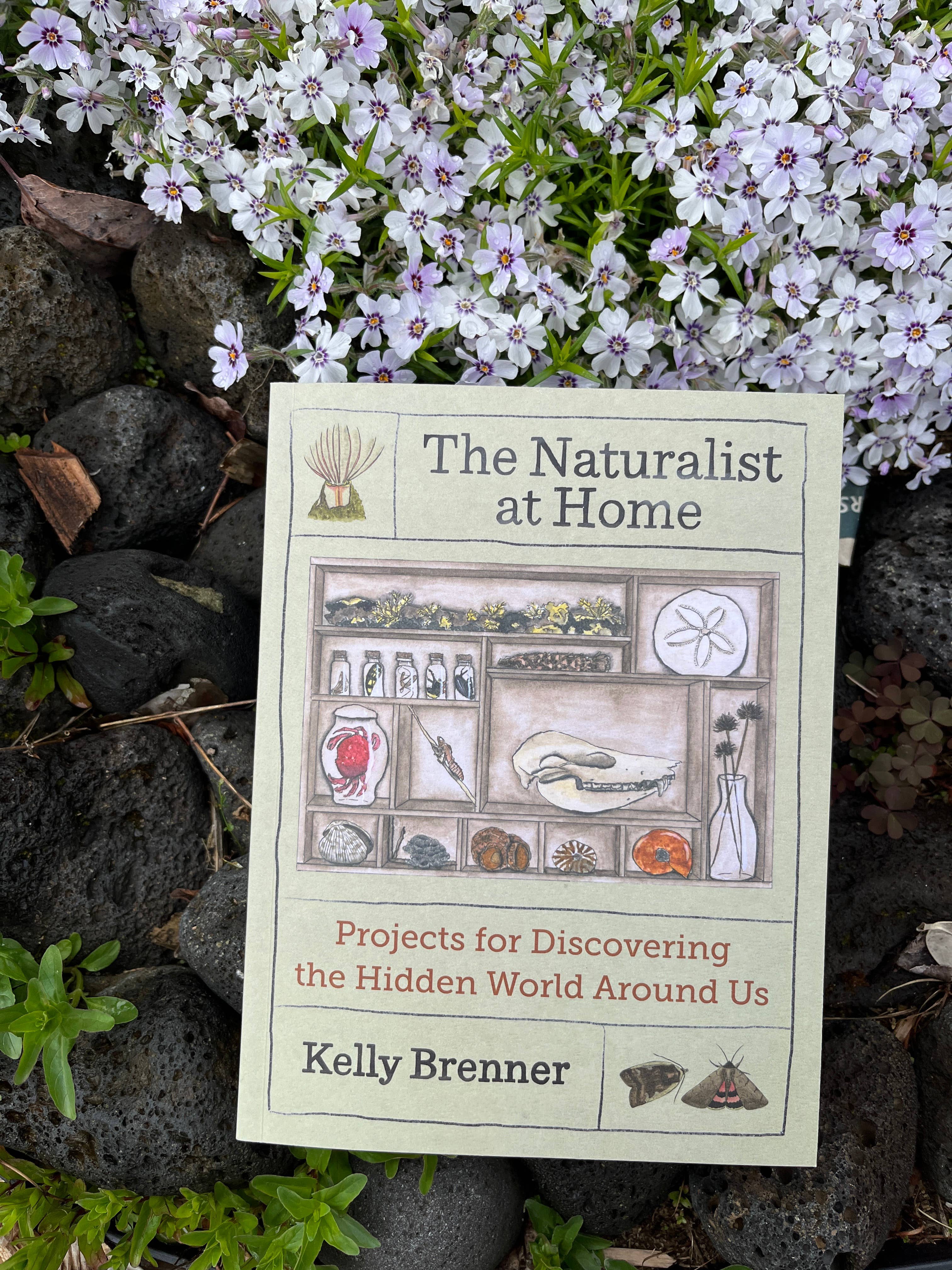 Mountaineers Books - Wholesale Nature & Outdoors Book - The Naturalist at Home1
