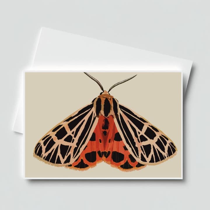 Papillon tigre en corail pour la vente par Wind Over Tide