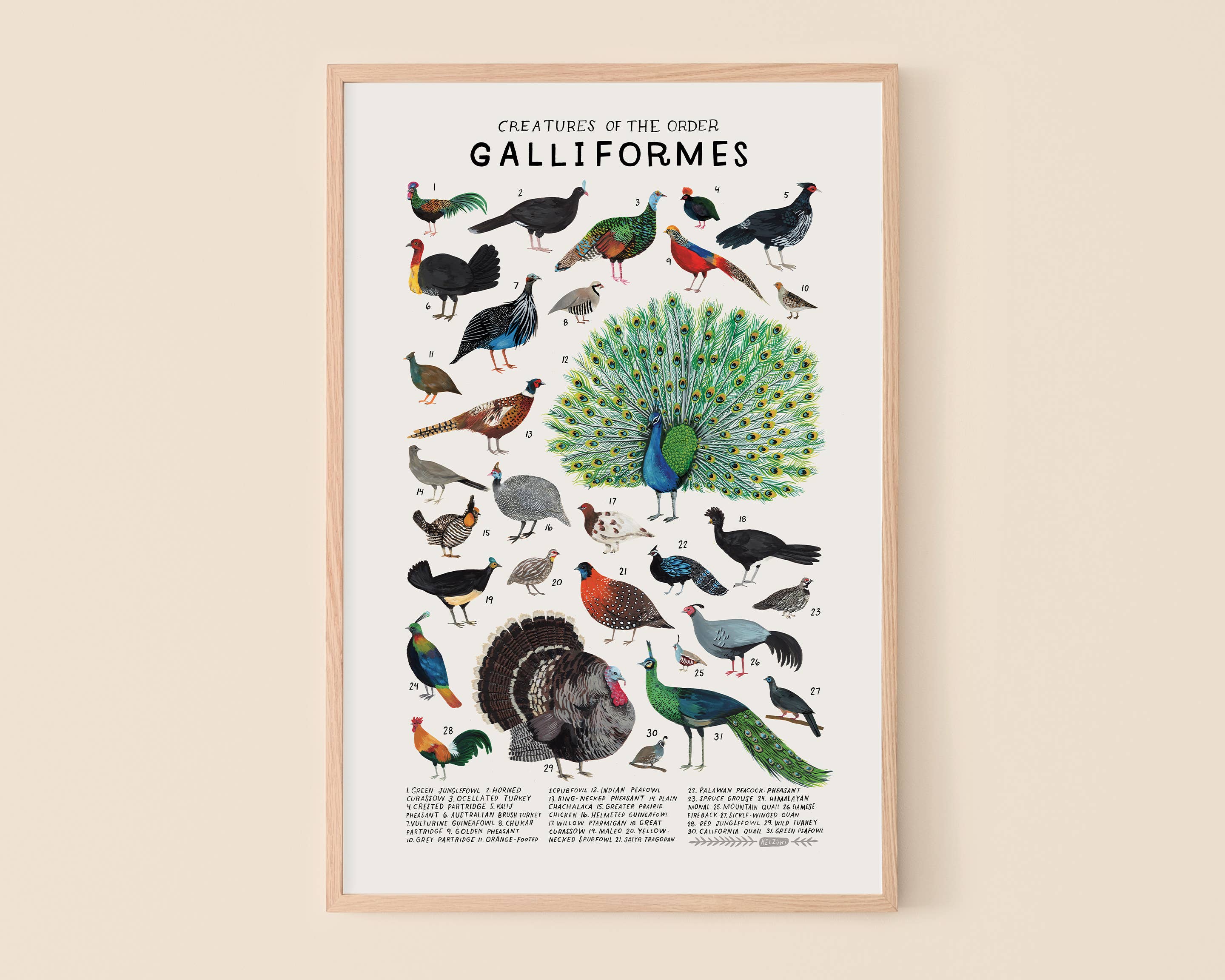 Kelzuki - Wholesale Art Print - Galliformes Art Print: Chickens, Turkeys, Quail0