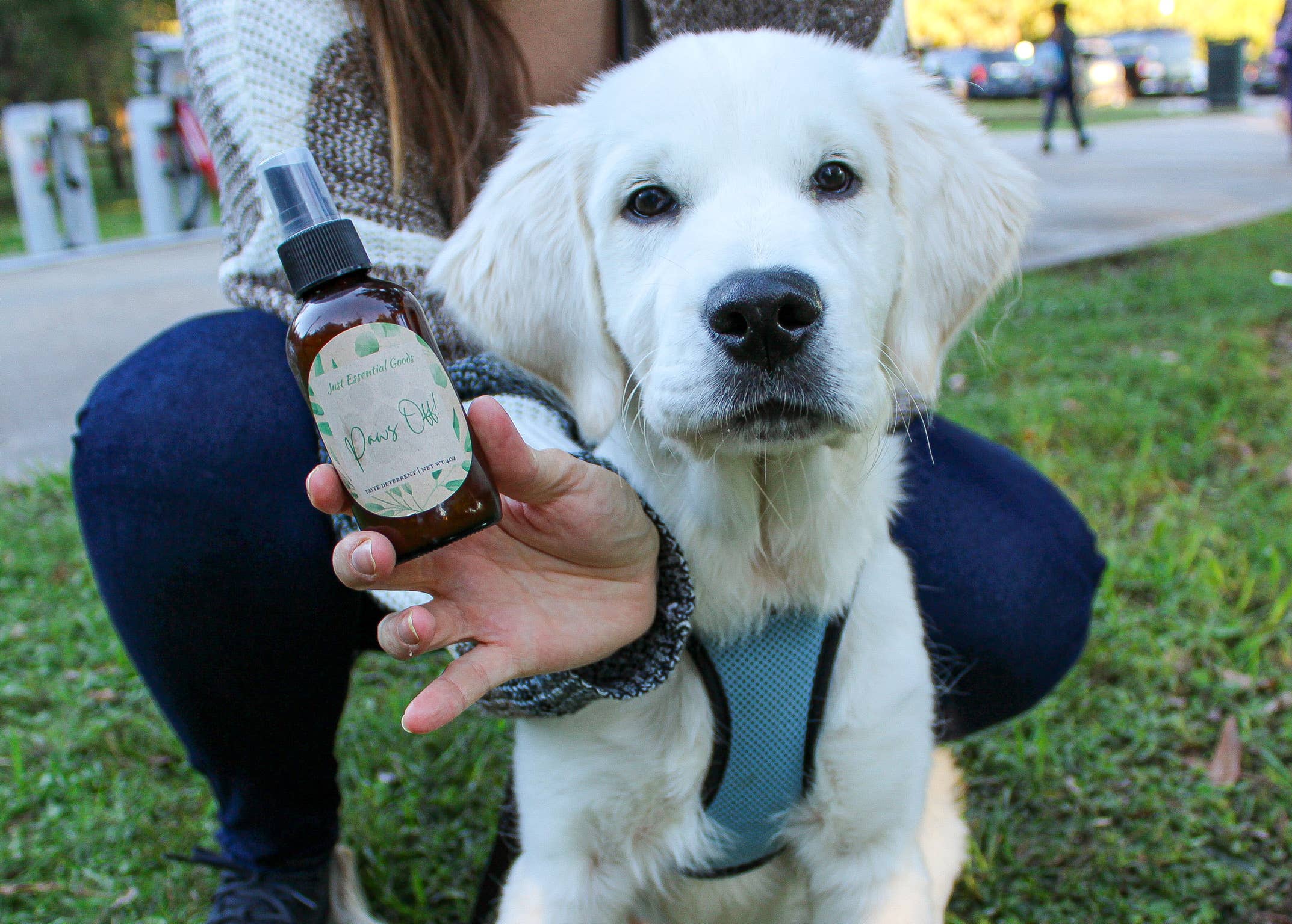 Just Essential Goods - Vente Spray – chien - Enlevez les pattes !