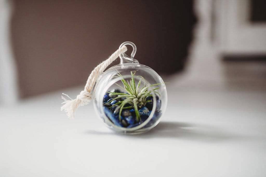 The Simply Crafty Shop - Wholesale Terrarium - Mini Orb Air Plant Terrarium Kit - Semi-Precious Stone56
