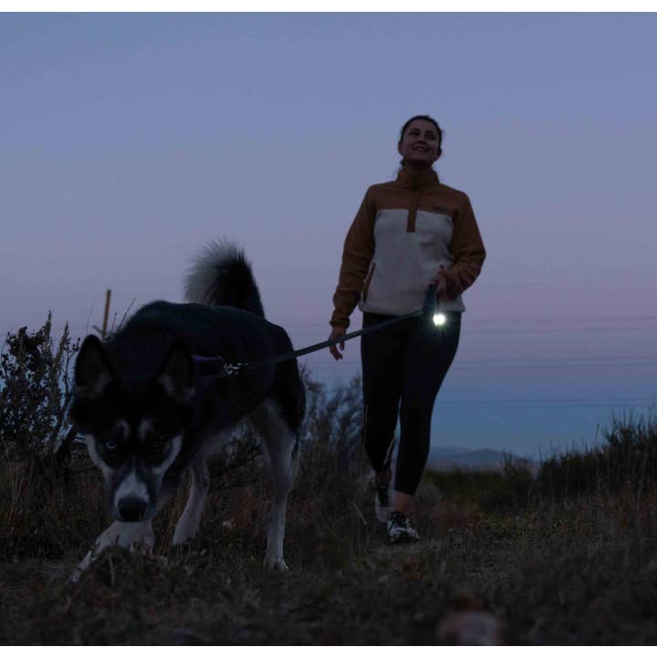 Tug Pet Products - Wholesale Pet Leash - Dog - TUG Rechargeable LED Dog Light for Night Walking - Clip-on S9