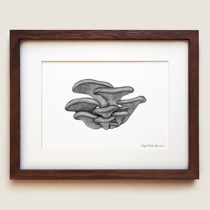 Pearl Oyster Mushrooms | Fine Art Print for wholesale by ElizabethAnnFrancis