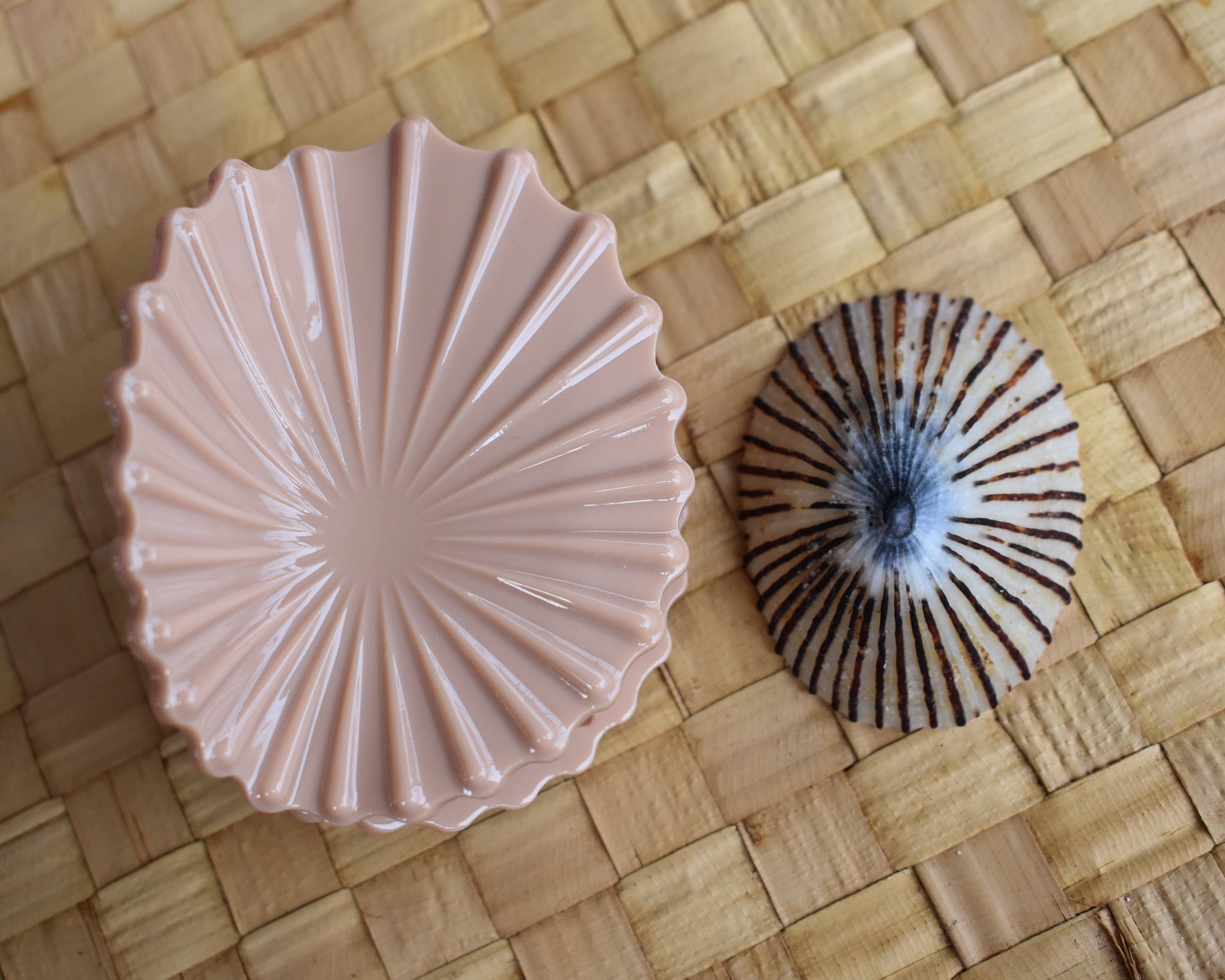 Revel Sun Hawai'i - Wholesale Hair Clip - Women's - 'Opihi Shell Shaped Claw Clip4