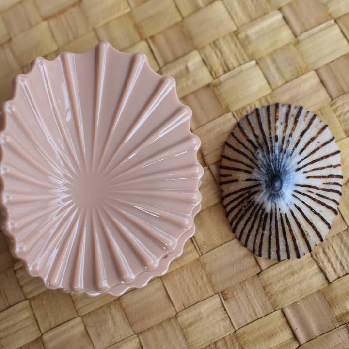 Revel Sun Hawai'i - Wholesale Hair Clip - Women's - 'Opihi Shell Shaped Claw Clip4