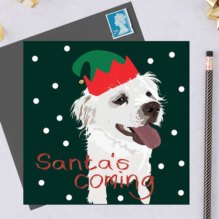 Lorna Syson - Wholesale Christmas Card - Charity Christmas card – Marlo the rescue dog
