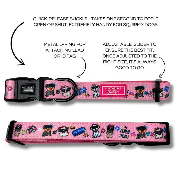 Mylo and Mas Boutique - Wholesale Pet Collar - Dog - Dog Collar - Social Media Star Pink1