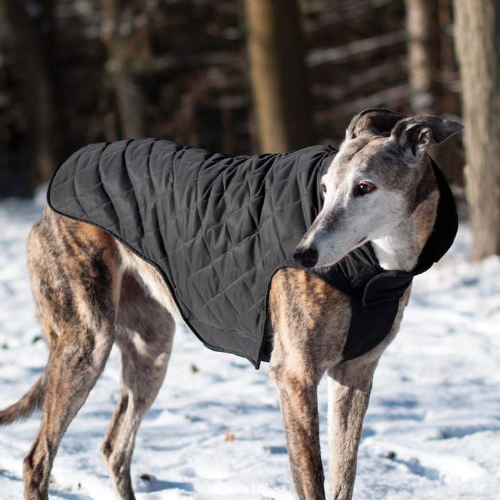 Shedrow K9 Brentwood Quilted Dog Coat - Black for wholesale by Shedrow K9