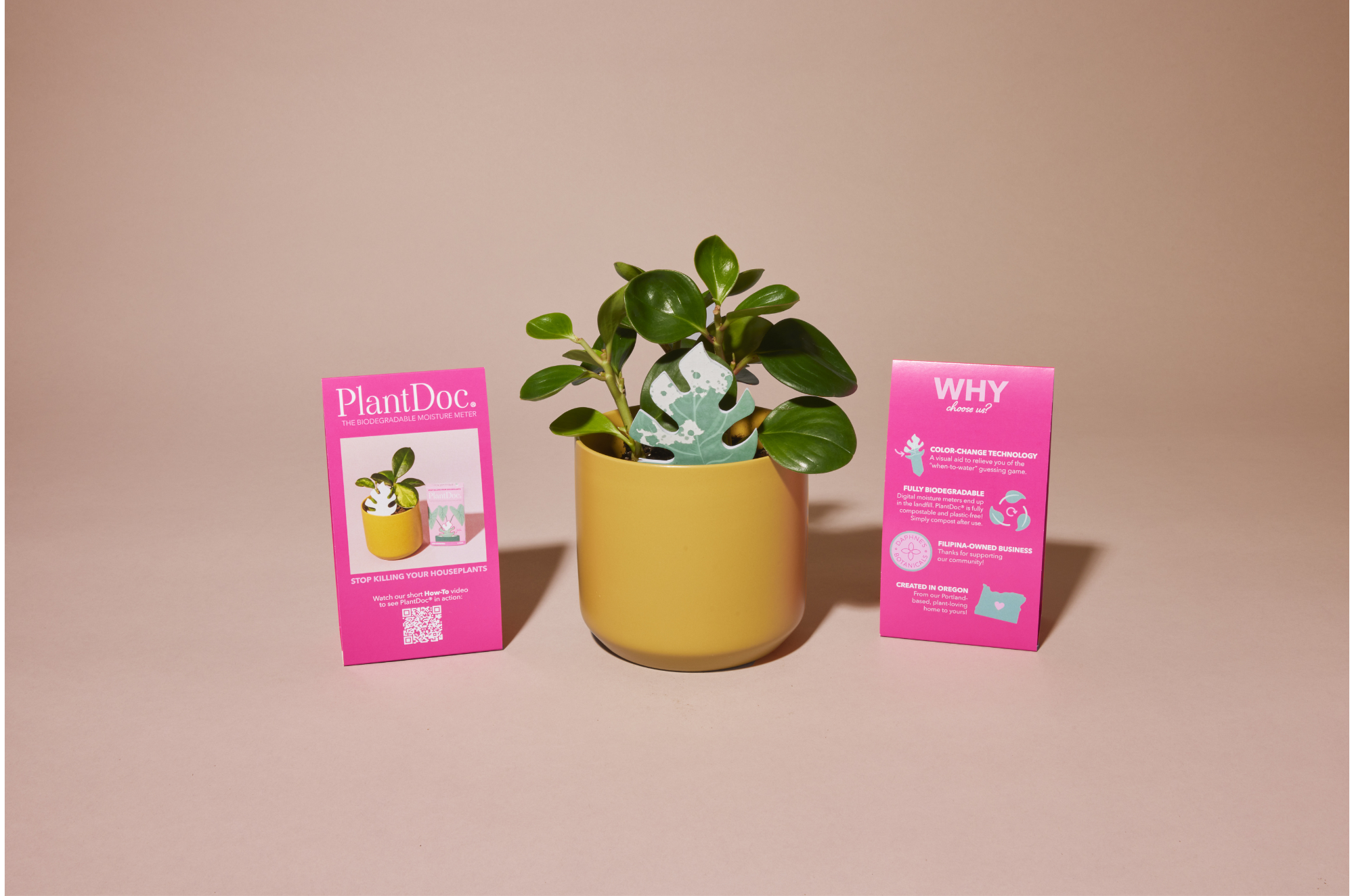 PlantDoc - Vente Outil de jardinage - Mini Monstera PlantDoc : humidimètre pour plantes à changement de couleur6