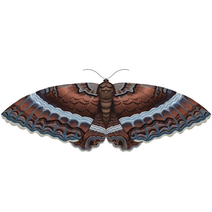 Autocolante de Traça Preta por atacado de Rextooth Studios