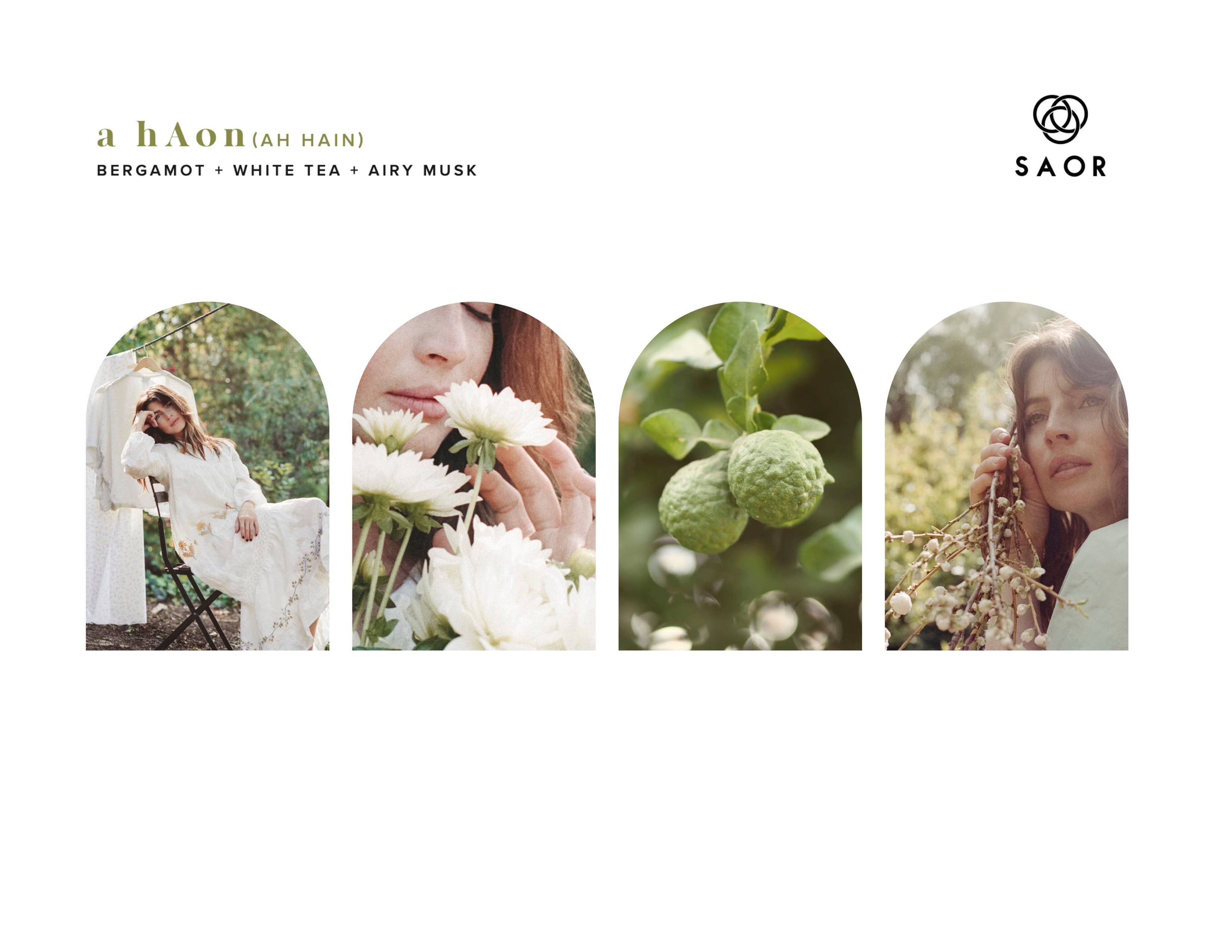 SAOR – Óleo de fragrância por atacado – um óleo de fragrância HaOn SAOR4