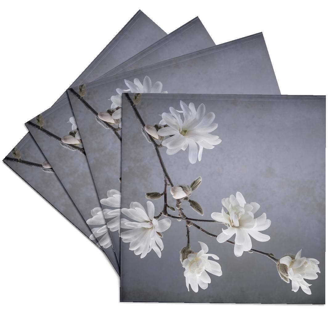 3dRose - Wholesale Coasters - 3dRose, USA, WA, Seabeck. White magnolia flowers and branches. , Coaster0
