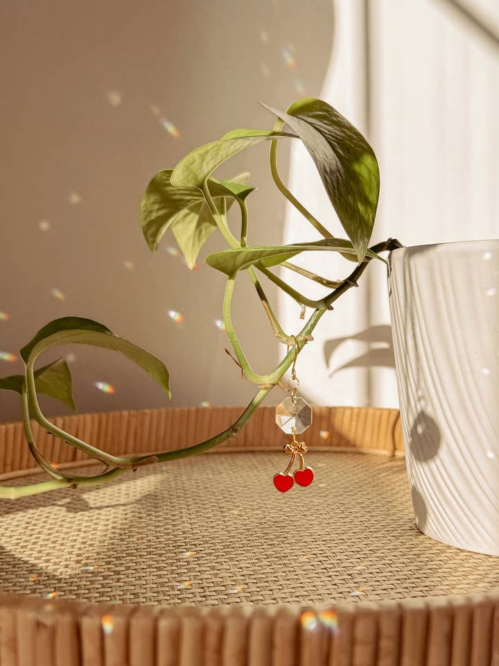 Pflanzenzauber | Sonnenfänger + Kirsche | Zimmerpflanzen-Rankendekor für den Großhandel von Meraki The Studio Co.