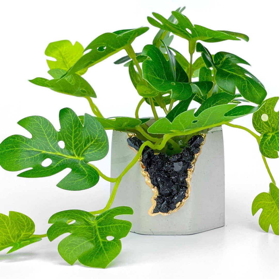 Planters Made in the USA - Venta al por mayor Macetas - Maceta de geoda de turmalina negra cruda, soporte para plantas de aire3