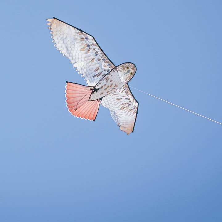 In the Breeze, LLC. - Wholesale Kite - 70" Red-Tailed Hawk Kite1