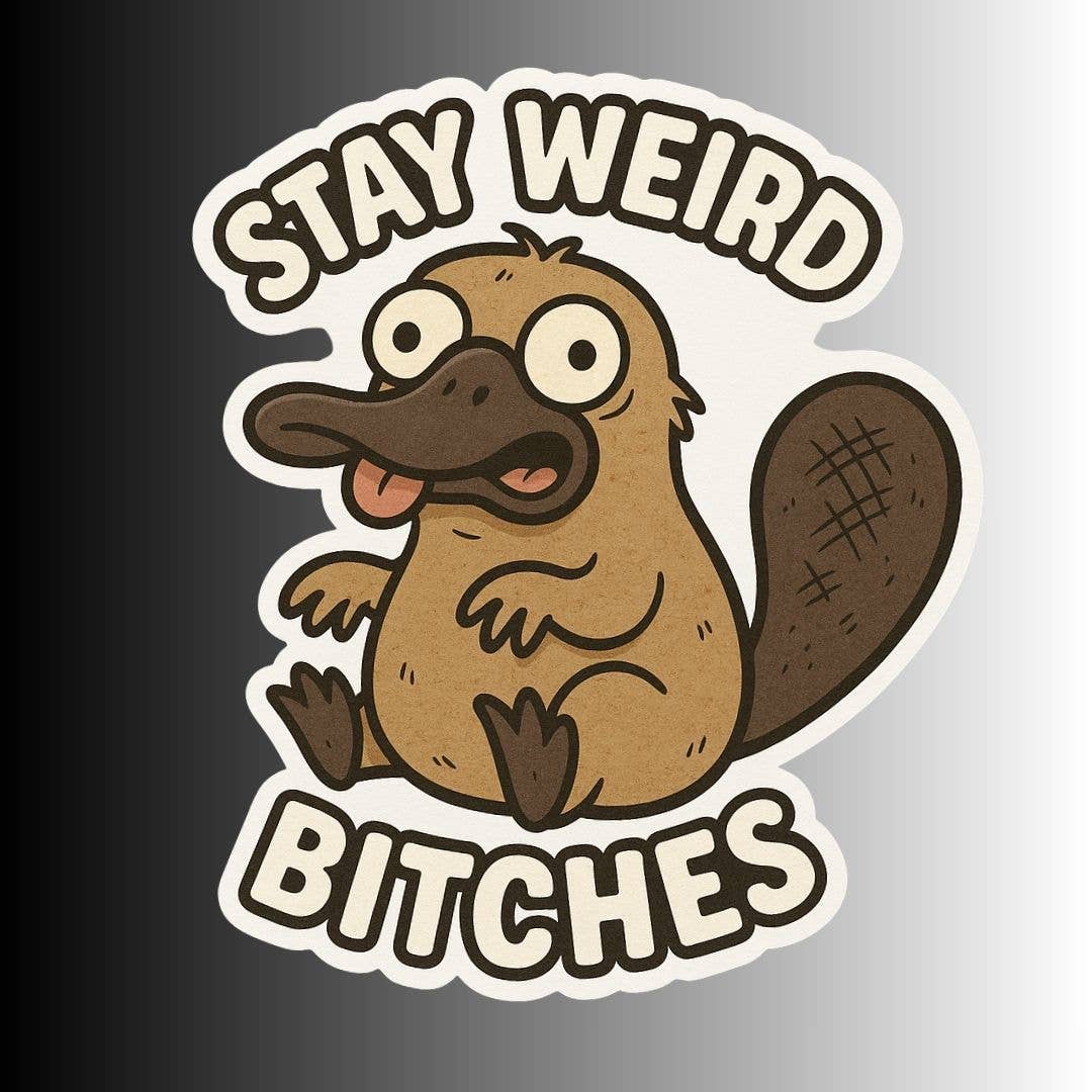 Slightly Askew Art - Wholesale Sticker - "Stay Weird Bitches" Sticker Variety Pack - 10 Designs8