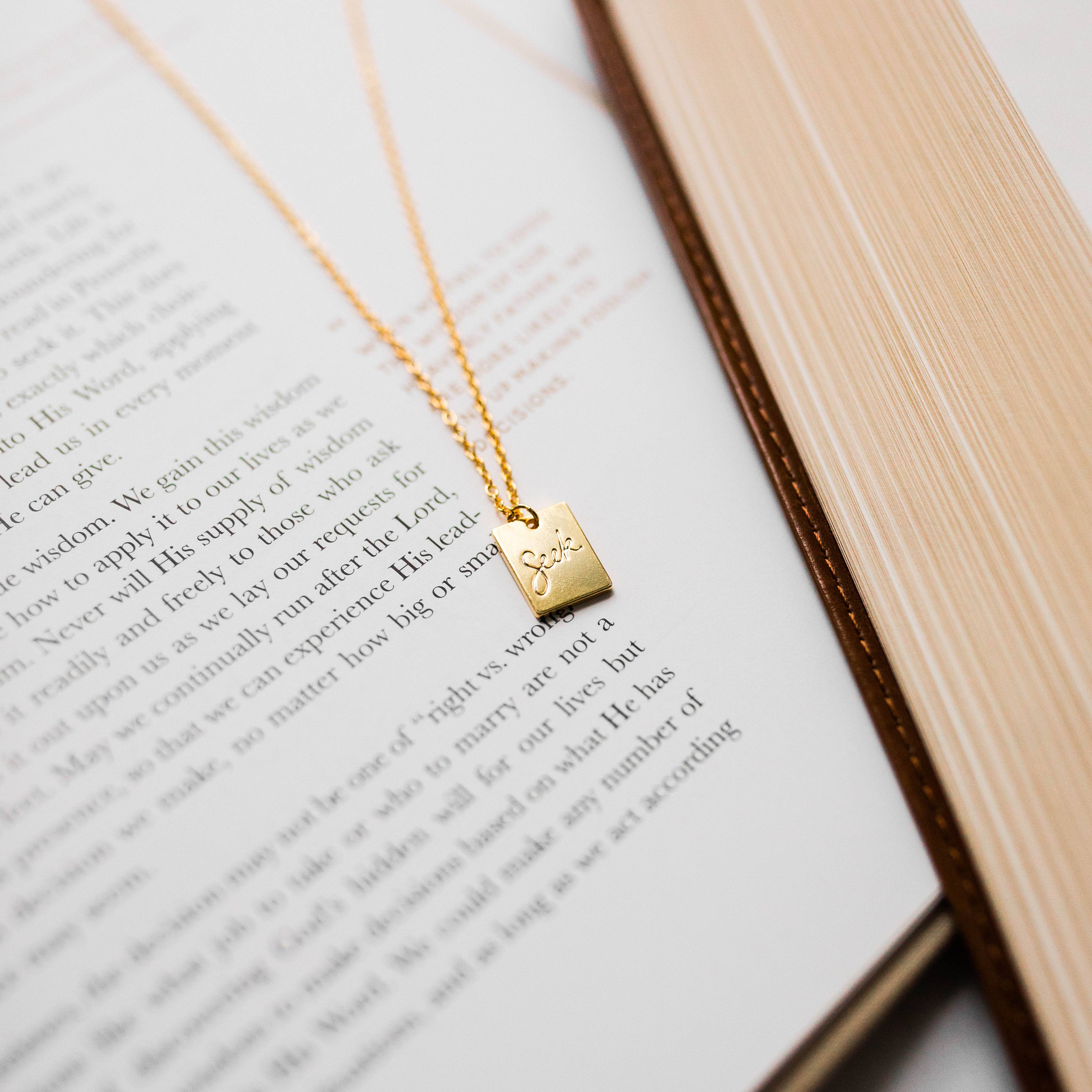 The Daily Grace Co - Vente Colliers à pendentif - Collier Seek1