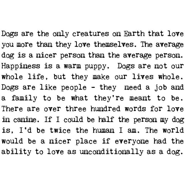 Coulson Macleod (U.S. Duties Paid) – wholesale Everyday greeting card – Dog Lover Card1