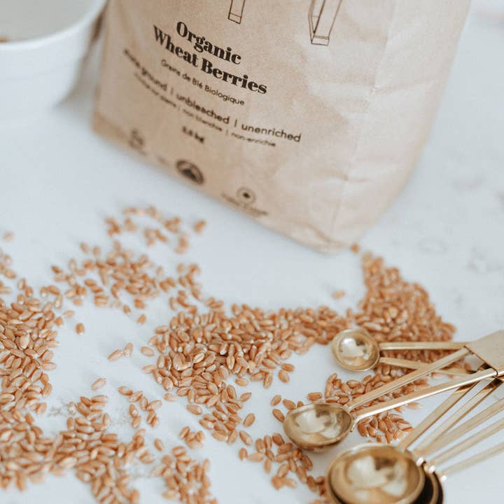 Better Basics Milling - Wholesale Whole Grains - Organic Wheat Berries