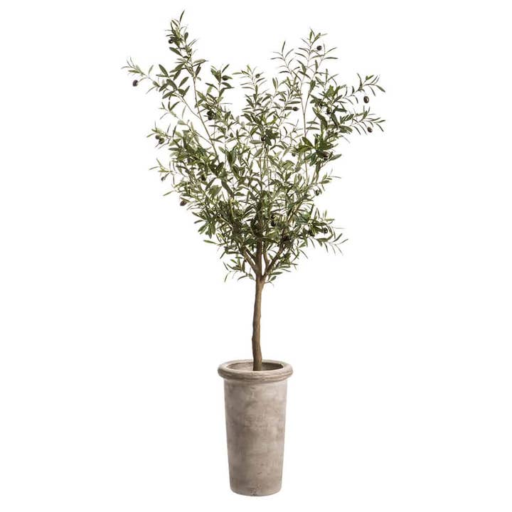 72"H Olive Tree in Cement Planter Green for wholesale by Silk Flower Depot