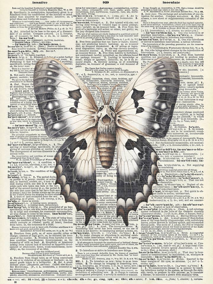 Traça, Escura, Natureza, Halloween, Dicionário Vintage por atacado de Crazilyhumbledesigns