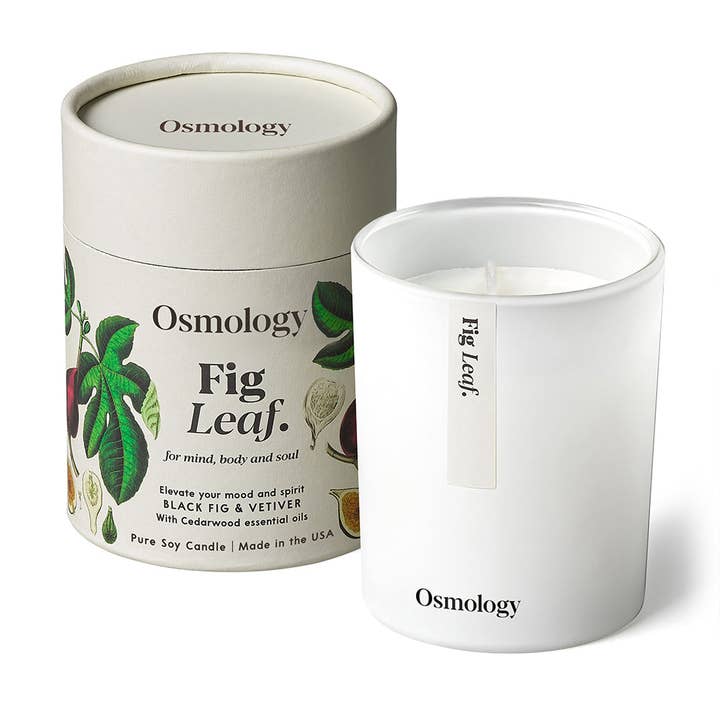 Osmology - Wholesale Jar/Filled Candle - Fig Leaf Scented Candle - Black Fig Vetiver and Cedarwood1