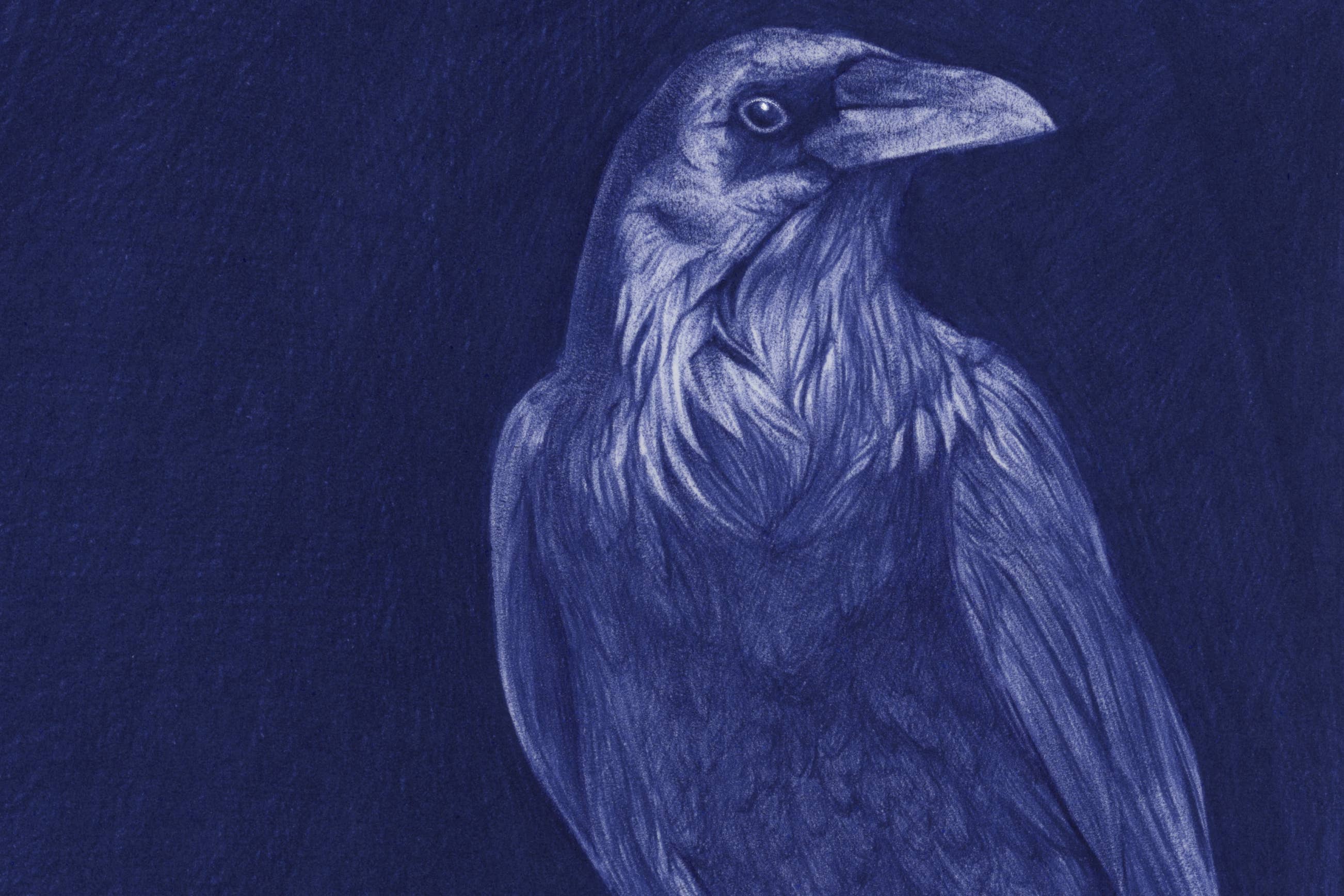 Belén Diz Juncal - Wholesale Art Print - Pen illustrations - Original art - Munin2