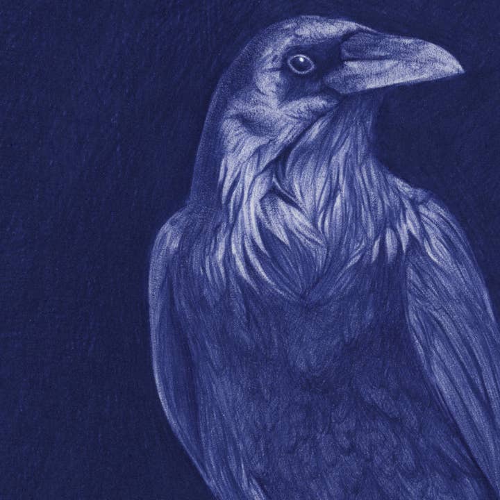 Belén Diz Juncal - Wholesale Art Print - Pen illustrations - Original art - Munin2