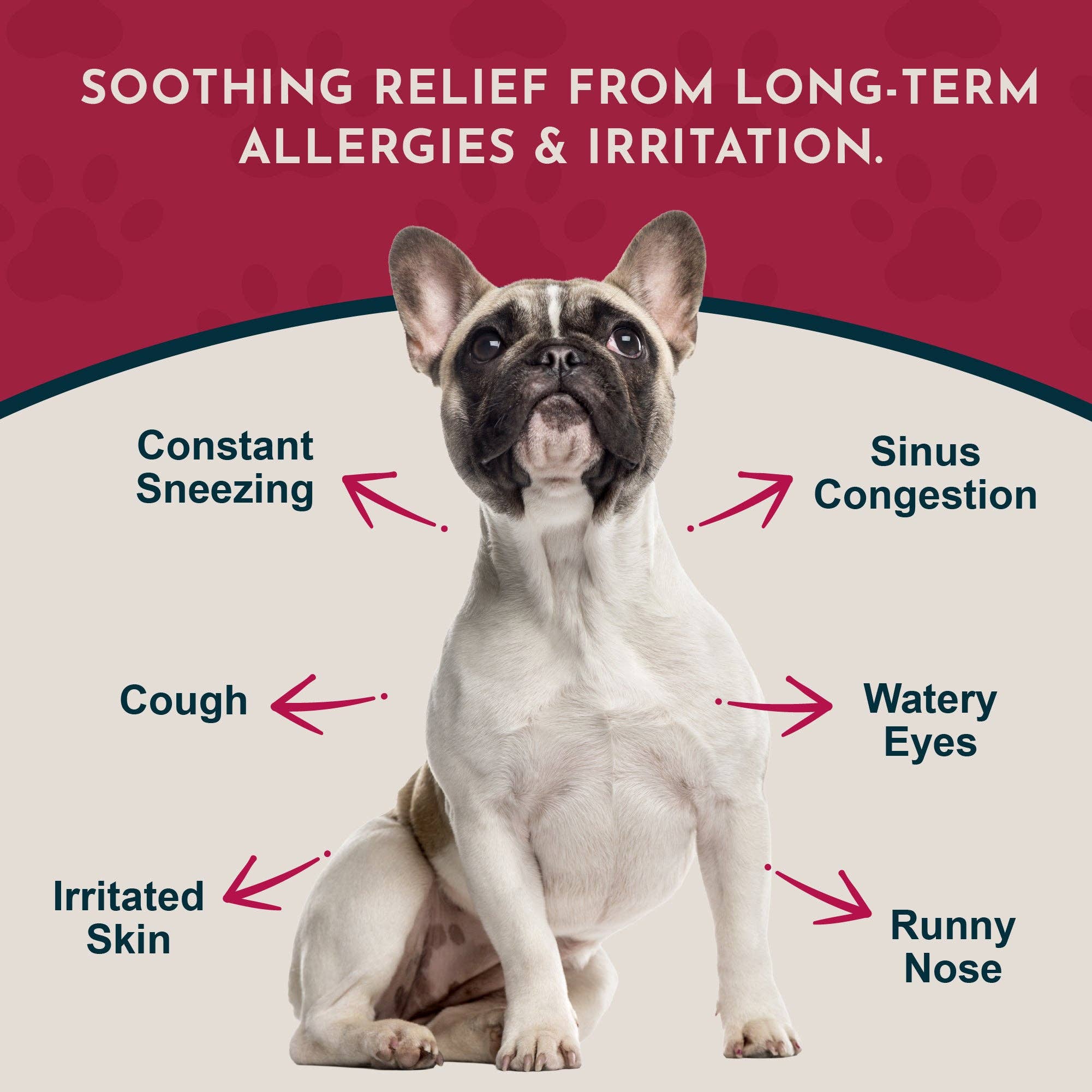 Animal Essentials - Wholesale Pet Supplement - Cat/Dog - Seasonal Allergy Powder + Quercetin | Allergy Support2