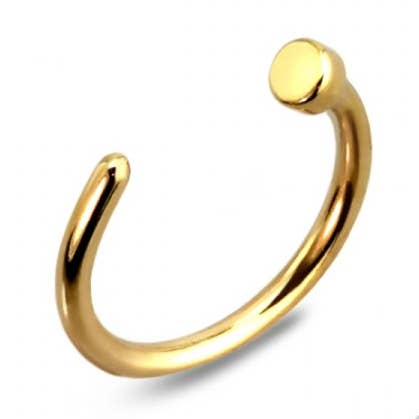 CRAVE BODY JEWELRY - Wholesale Nose Ring - 20PCS OF 18GA 316L SS NOSE HOOP PACKAGE1