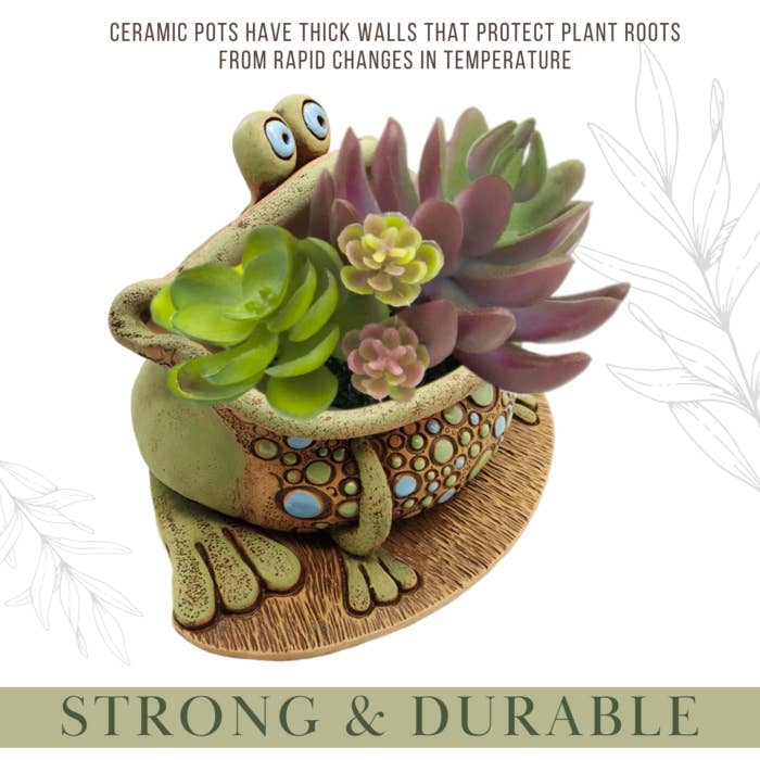 STP - Wholesale Plant Pot - Frog Ceramic Planter. Flower Pot / Terracotta4