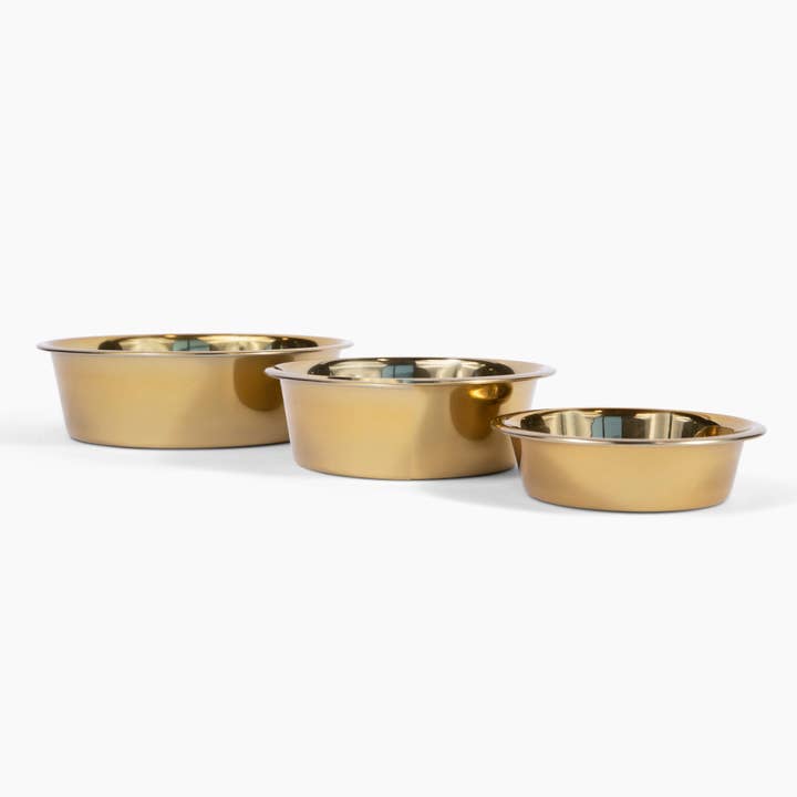 Hiddin - Wholesale Pet Bowl - Cat/Dog - Slant Gold Feeder10
