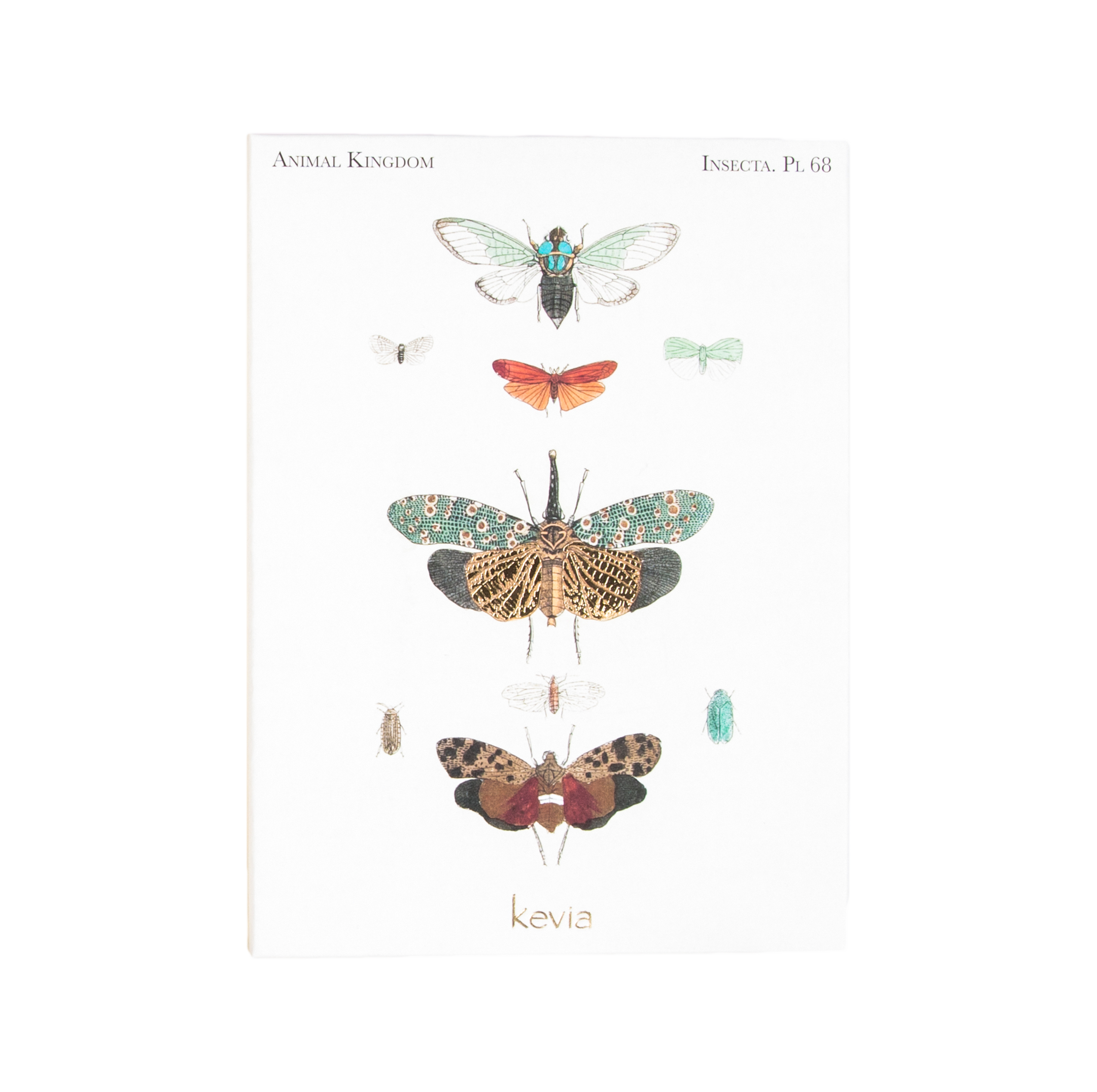 Kevia - Wholesale Gift Bag Set/Pack - Nottingham Complete Experience4