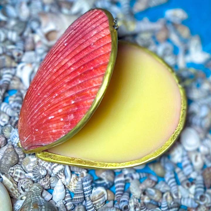 Mandala Gems - Wholesale Solid Perfume - CREATRIX Solid Perfume, Botanical Natural Perfume in A Seashell Compact2