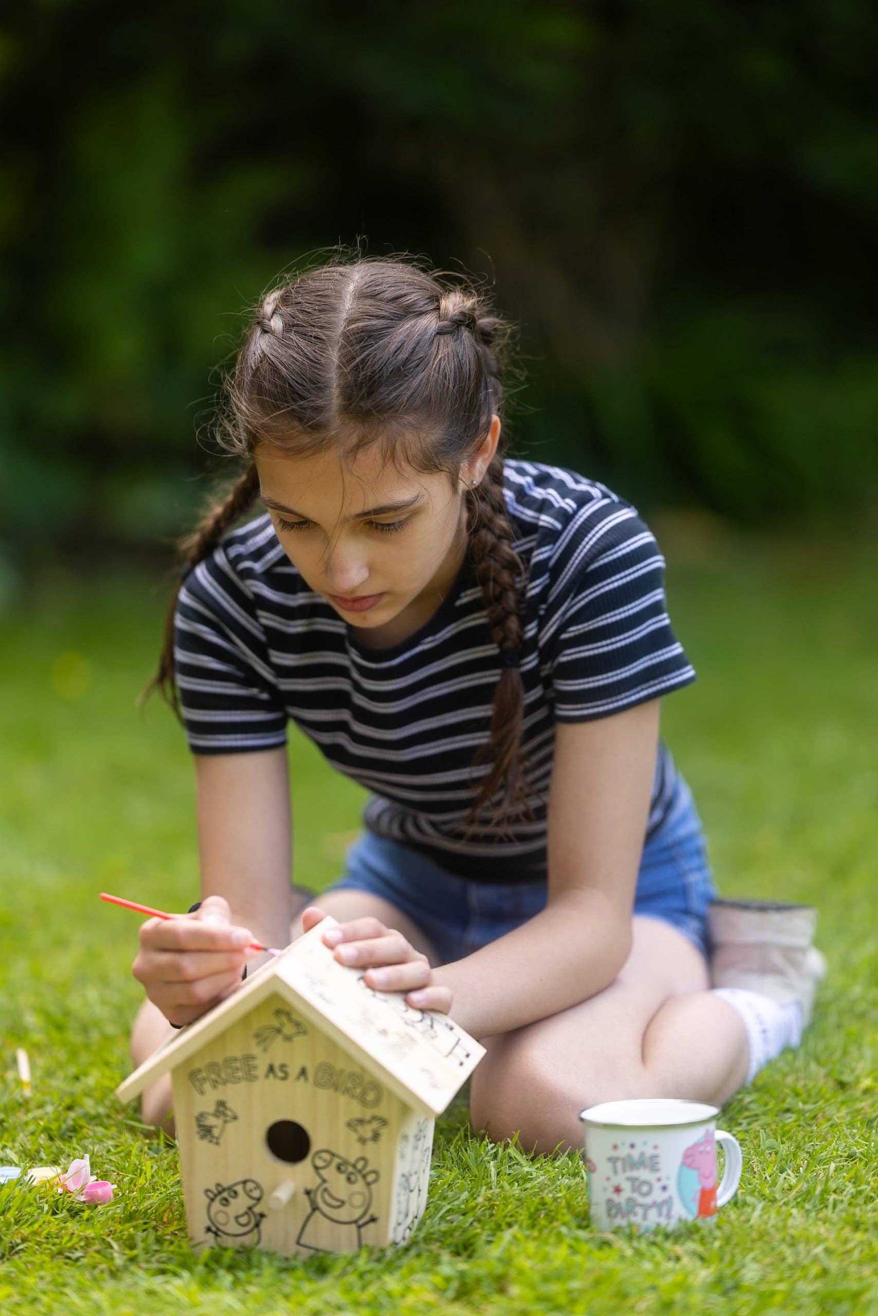 Robert Frederick Ltd - Venta al por mayor Kit de manualidades - Niños - Peppa Pig Pinta tu propia casita para pájaros8