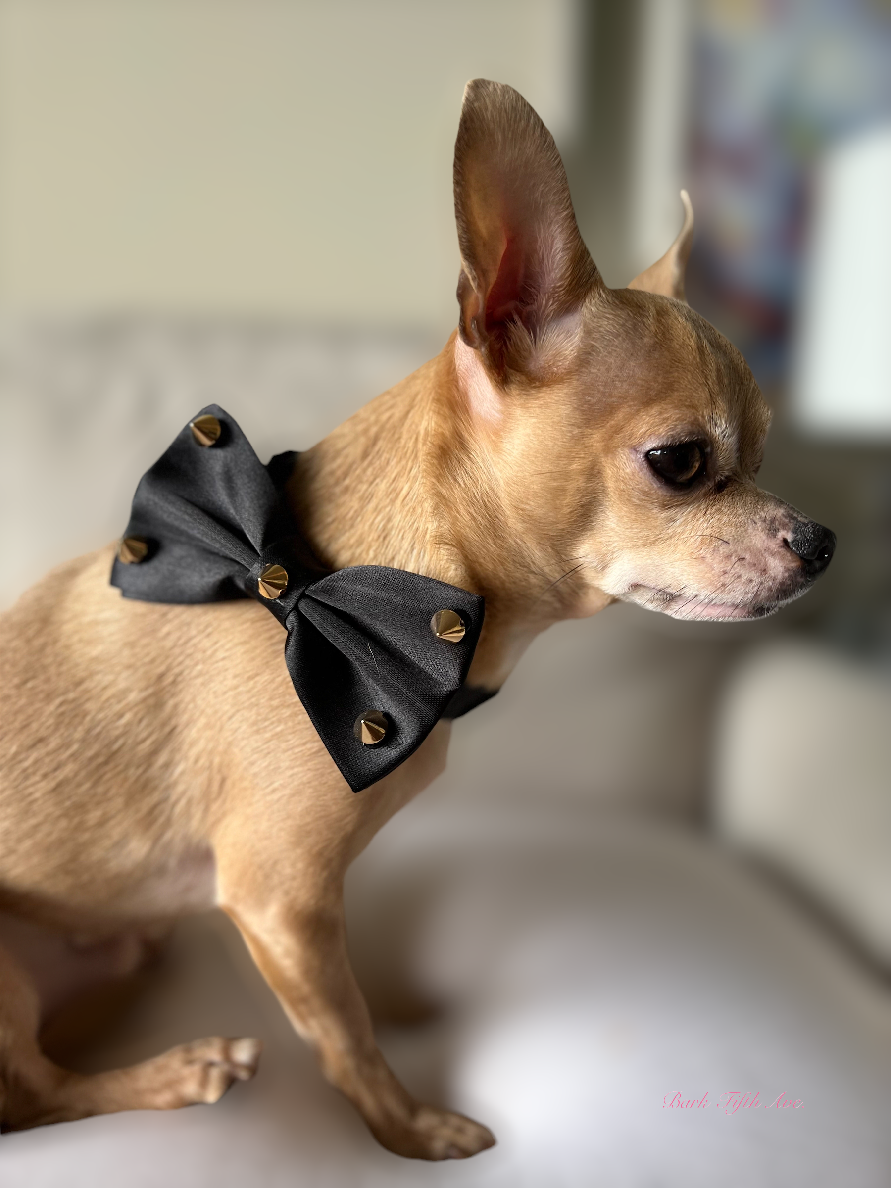 Bark Fifth Avenue - Vente Nœud papillon – chien - Noeud papillon élégant en satin et strass1