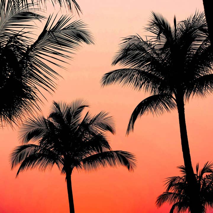 NKDAPE - Wholesale Perfume/Eau de Toilette - Calypso - 50ml1