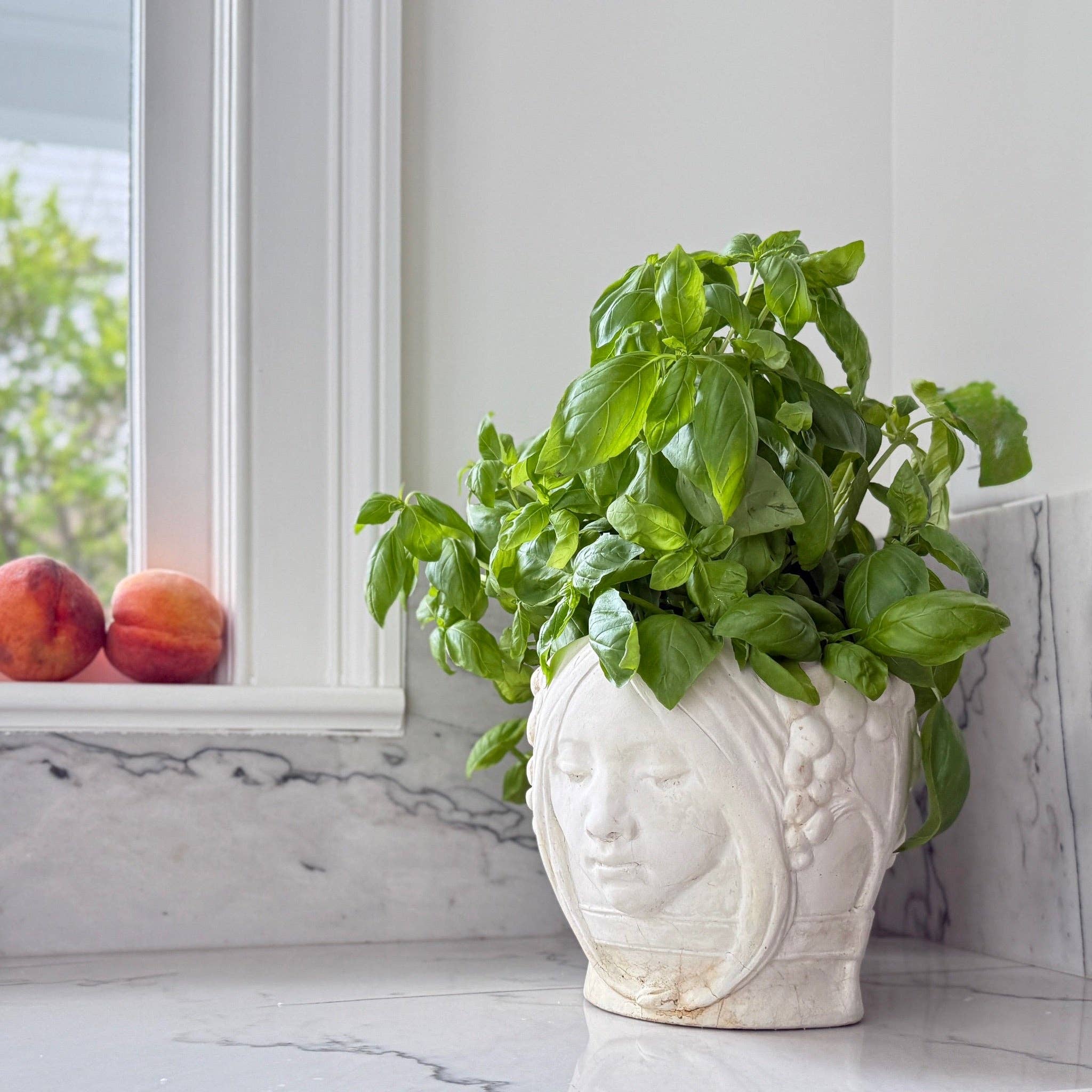 House Parts, Inc. - Wholesale Plant Pot - Astral Twins Planter3