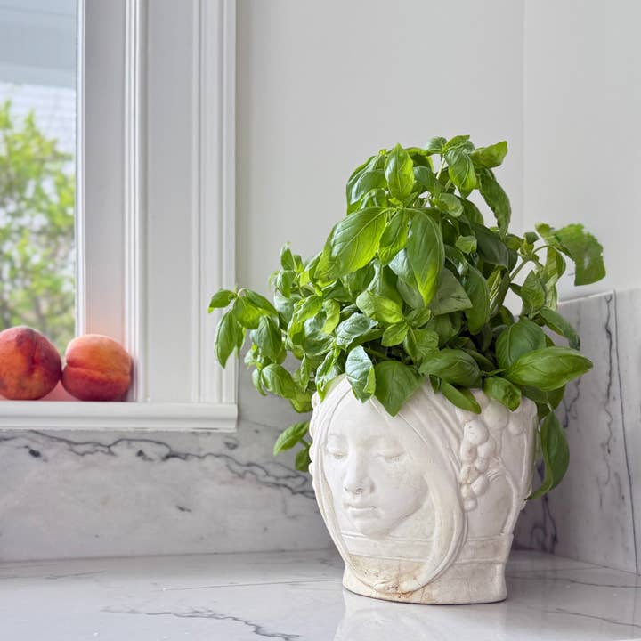 House Parts, Inc. - Wholesale Plant Pot - Astral Twins Planter3