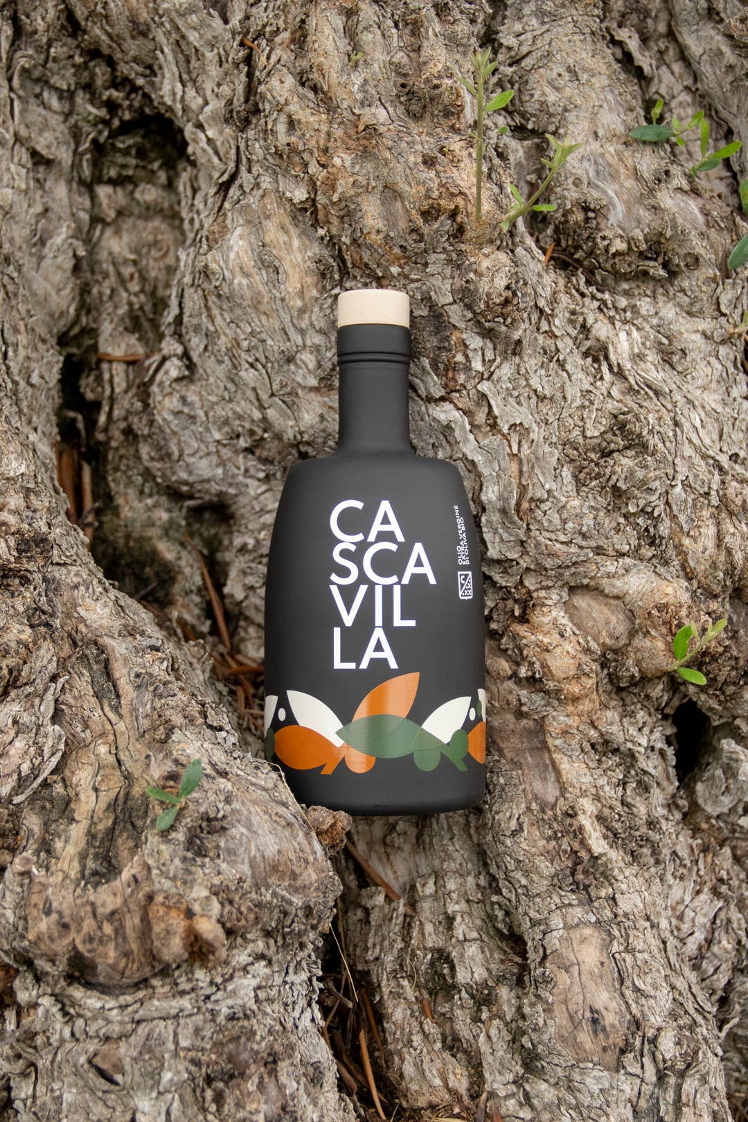 Olio Cascavilla - Wholesale Olive Oil - ORGANIC EXTRA VIRGIN OLIVE OIL WITH PACK5