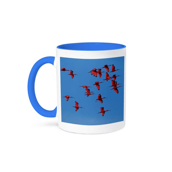 3dRose, Scarlet ibis, Para State, Brazil, Mug and other Purchase Wholesale corchos para botellas. Free Returns & Net 60 Terms on Faire trending on Faire.