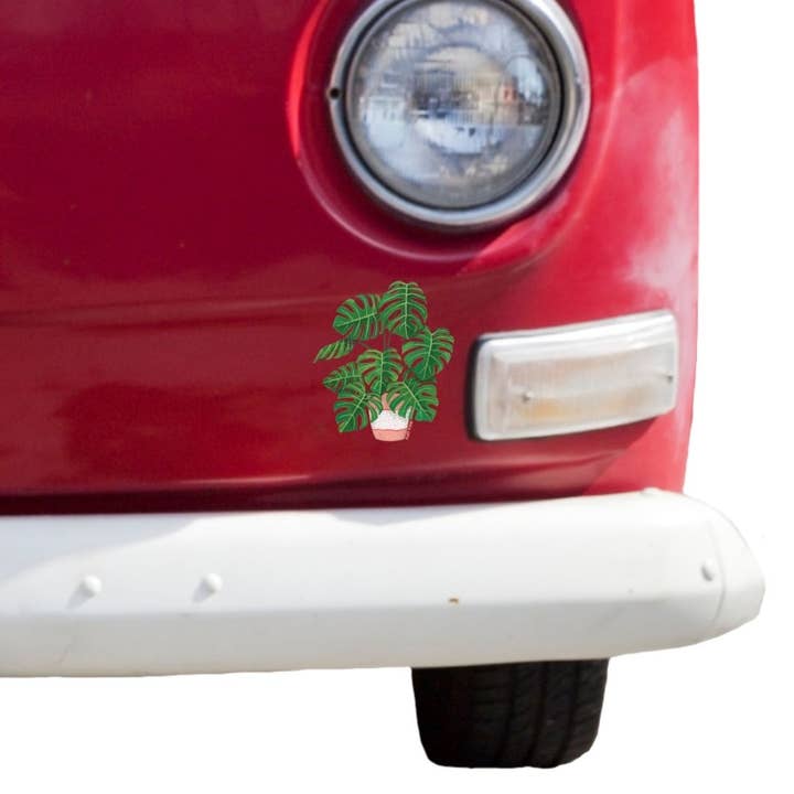 Plant Posse - Wholesale Sticker - Monstera Sticker8