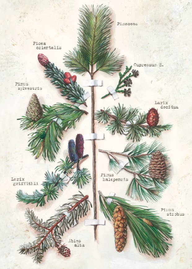 Bomo Art Budapest - Wholesale Everyday Greeting Card - Greeting Card + Envelope59