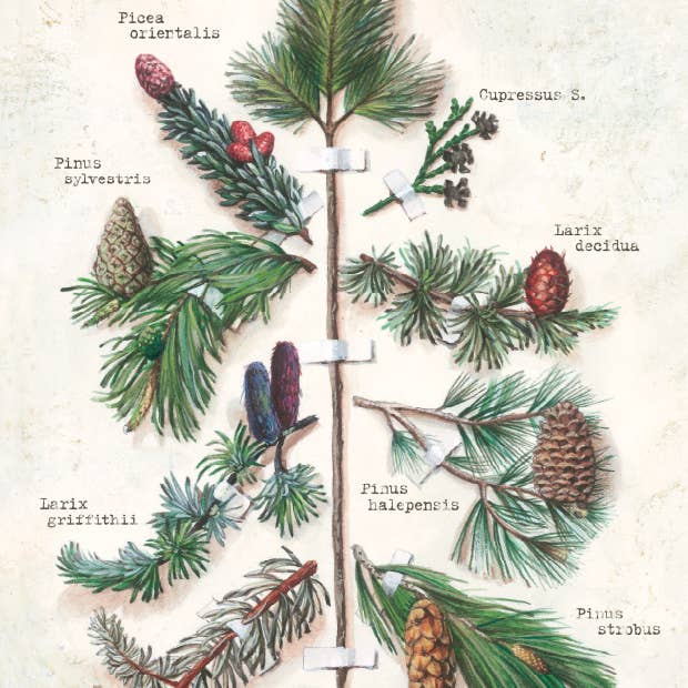 Bomo Art Budapest - Wholesale Everyday greeting card - Greeting Card + Envelope59