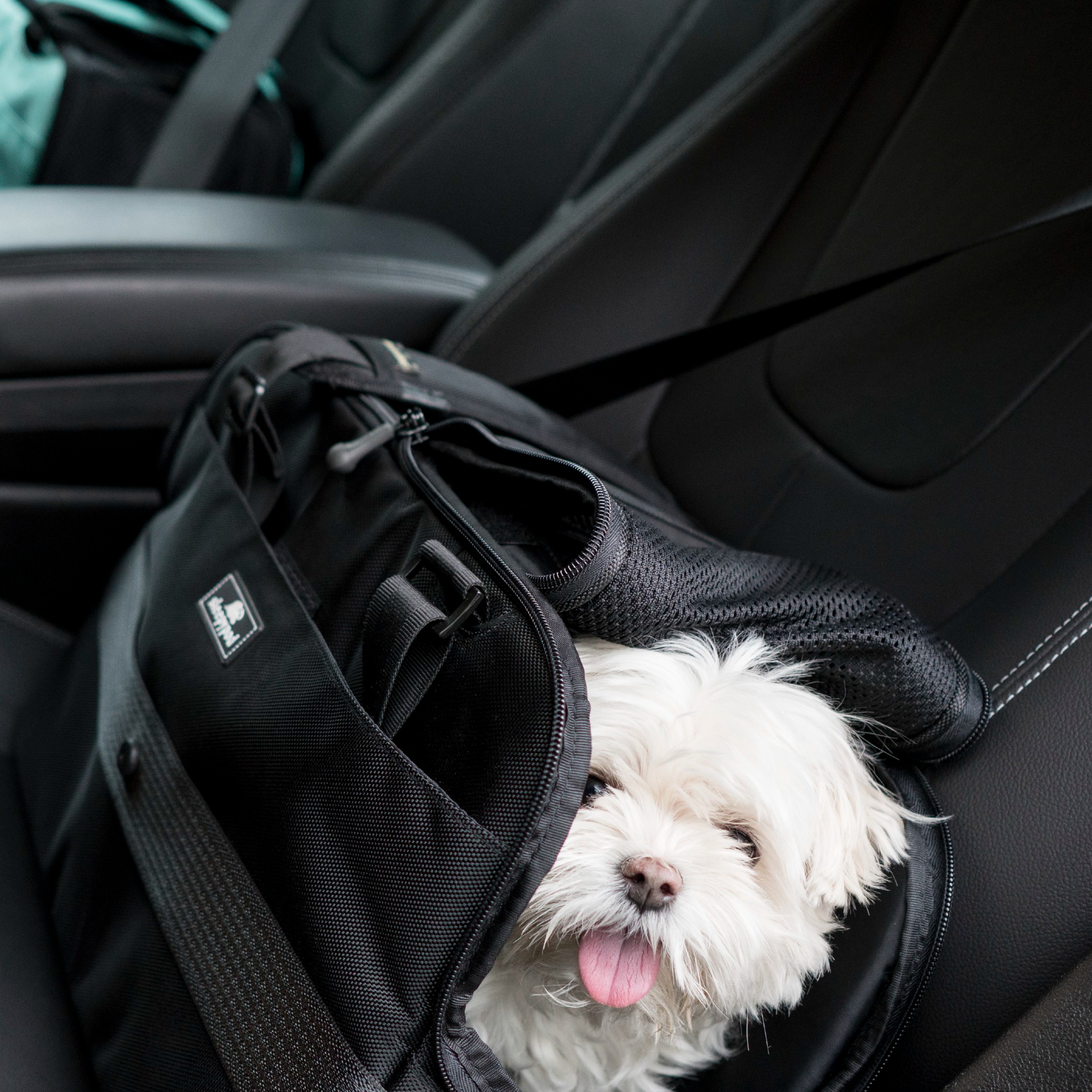 Sleepypod - Wholesale Pet Carrier - Dog - Sleepypod Atom9