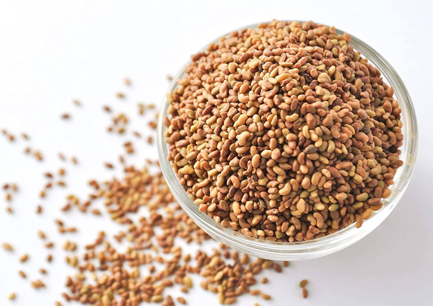 Food To Live - Wholesale Seeds/Kernels - Organic Alfalfa Sprouting Seeds — Non-GMO, Kosher, Raw3